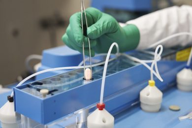 Pfizer, ipotesi addio Catania: a rischio 380 posti di lavoro