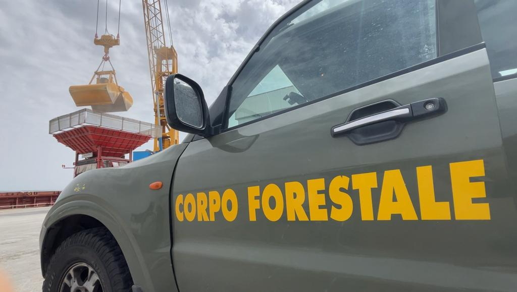 Corpo forestale della Sicilia, approvato in giunta integrazione all’atto di indirizzo per rinnovo contratto