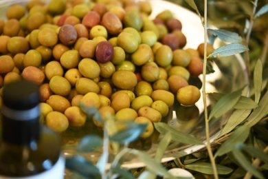 Controlli sull’olio d’oliva, Aifo: “Rafforzarli contro frodi e prodotti non tracciati”