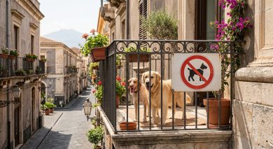 Catania, tutela animali d’affezione: detenzione su balconi e terrazzi vietata nelle ore più calde