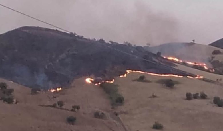 Nell’Agrigentino devastato delle fiamme l’emergenza incendi non è finita, sindaco Cacciatore: “Chiederemo stato di calamità”