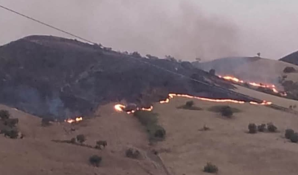 Nell’Agrigentino devastato delle fiamme l’emergenza incendi non è finita, sindaco Cacciatore: “Chiederemo stato di calamità”