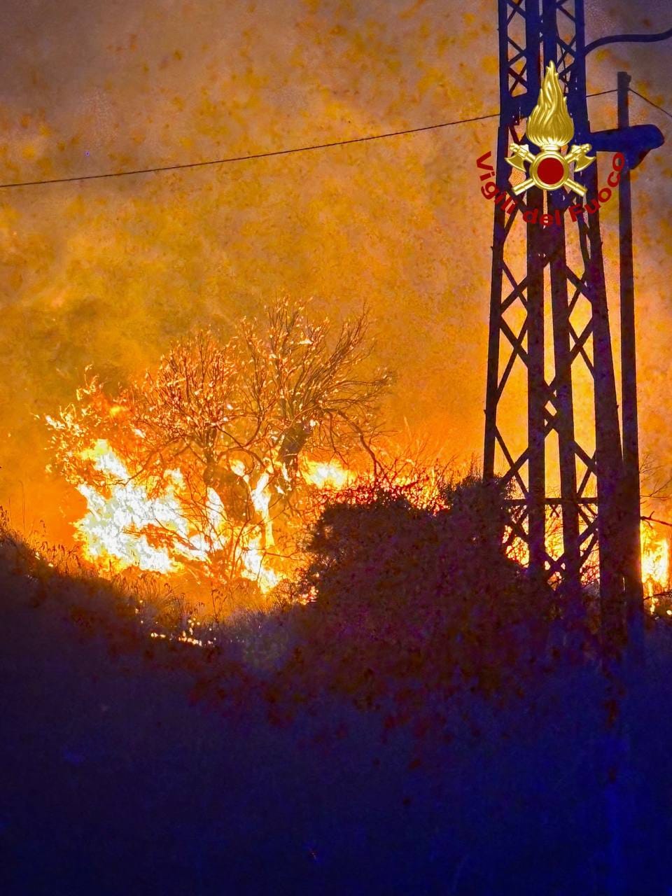 FOTO | Incendi a Palermo e provincia, più di 530 interventi in sei giorni FOTO | Incendi a Palermo e provincia, più di 530 interventi in sei giorni
