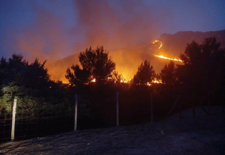 Fiamme, danni e rabbia, il Palermitano nella morsa degli incendi. Intravaia al QdS: “La risposta? Repressione e prevenzione”