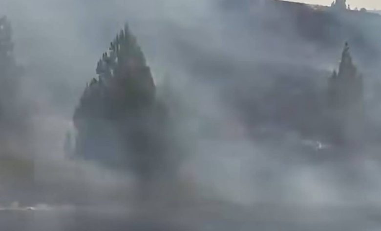 “Una città col cuore spezzato”, fiamme e fumo devastano Bivona: il post del sindaco dopo l’incendio