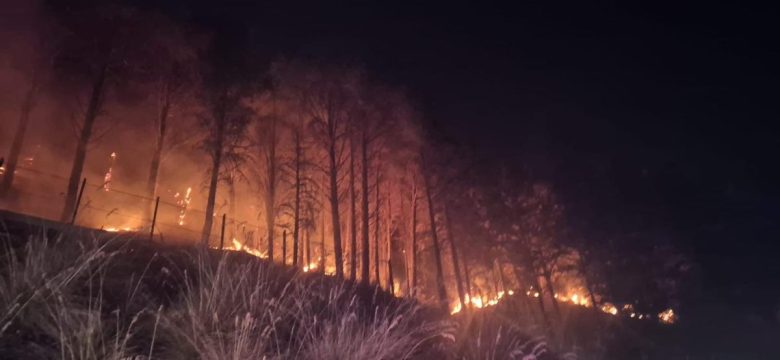 VIDEO | Monreale e Pioppo circondate dalle fiamme, evacuate diverse famiglie