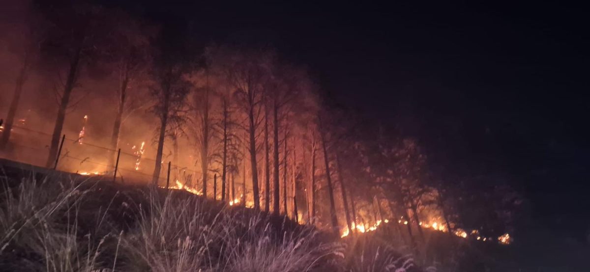 VIDEO | Monreale e Pioppo circondate dalle fiamme, evacuate diverse famiglie