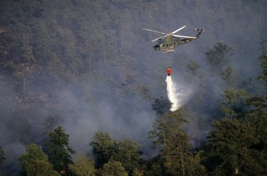 Incendi in Sicilia, in cenere 16 mila ettari in una settimana