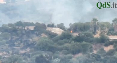 VIDEO | Parco Icori di Agrigento in fiamme, il sindaco dopo l’incendio: “Scongiurata catastrofe”