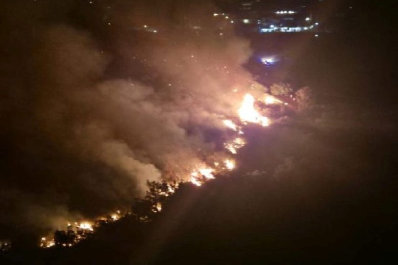 Incendi in Sicilia, Cocina: “Restano tre gravi fronti, accanimento dei piromani”
