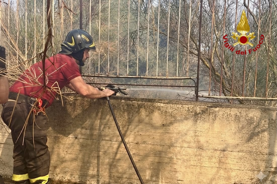 Da Ragalna a Mascalucia, 27 incendi nel Catanese: il report Da Ragalna a Mascalucia, 27 incendi nel Catanese: il report