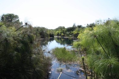 Tutela della natura, i fondi regionali bastano soltanto per cinque progetti