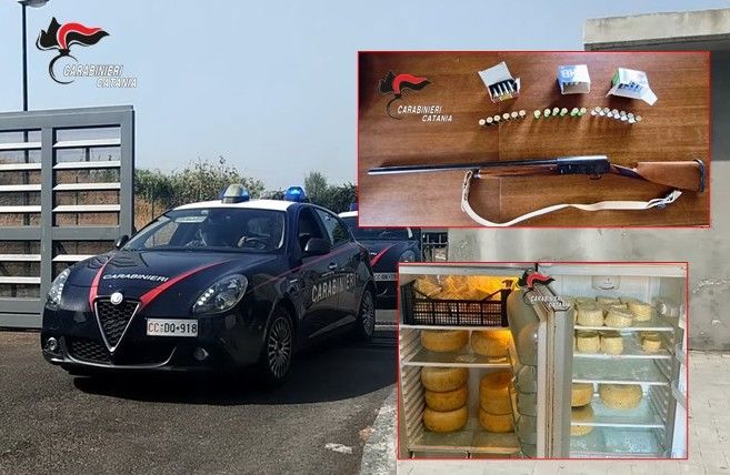 Fucile, cartucce e formaggi abusivi: masseria da incubo a Catania, scatta il blitz dei carabinieri