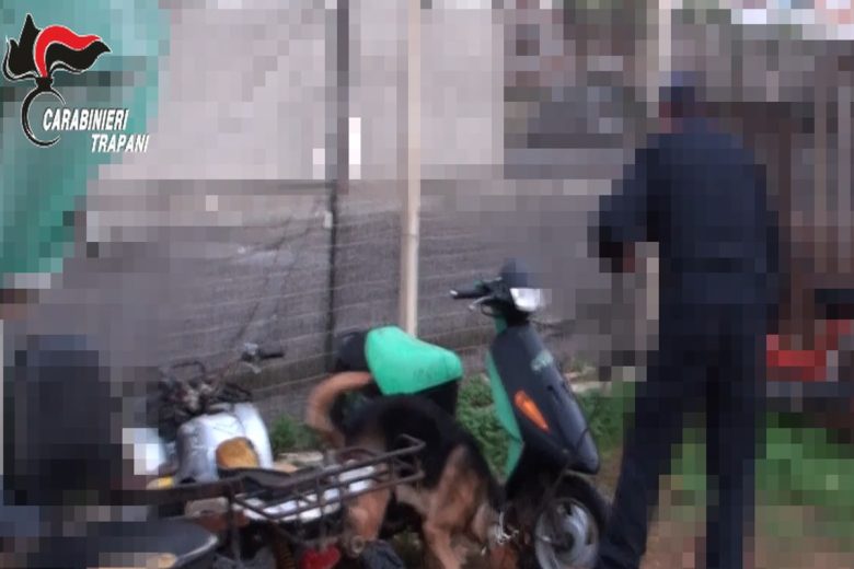 VIDEO | Il giro di estorsioni, intimidazioni e droga: il blitz nel Trapanese