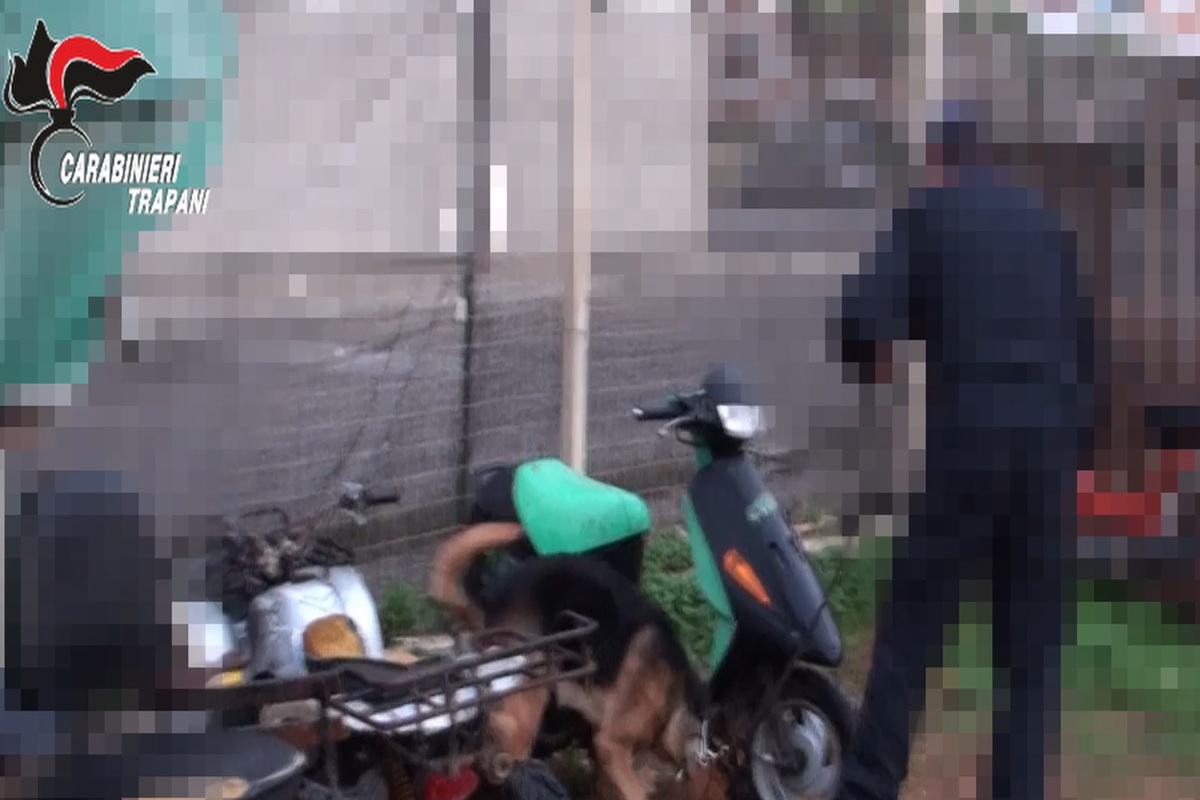 VIDEO | Il giro di estorsioni, intimidazioni e droga: il blitz nel Trapanese