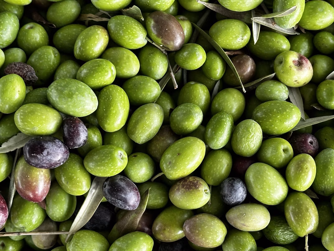 Niente più asfalto, maggiore spazio a vegetazione e terra: la lezione green della Spagna Niente più asfalto, maggiore spazio a vegetazione e terra: la lezione green della Spagna