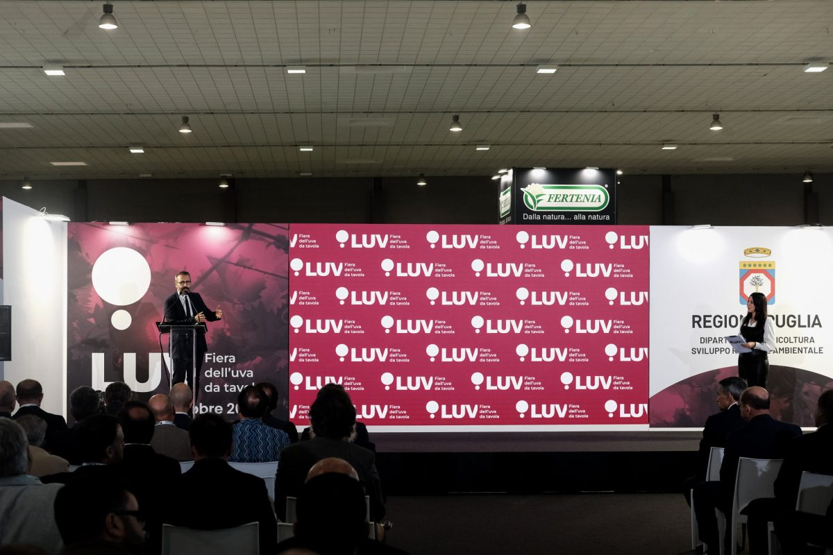 Presente e futuro della viticoltura, LUV Fiera 2026 porta a Bari il mercato globale dell’uva da tavola Presente e futuro della viticoltura, LUV Fiera 2026 porta a Bari il mercato globale dell’uva da tavola