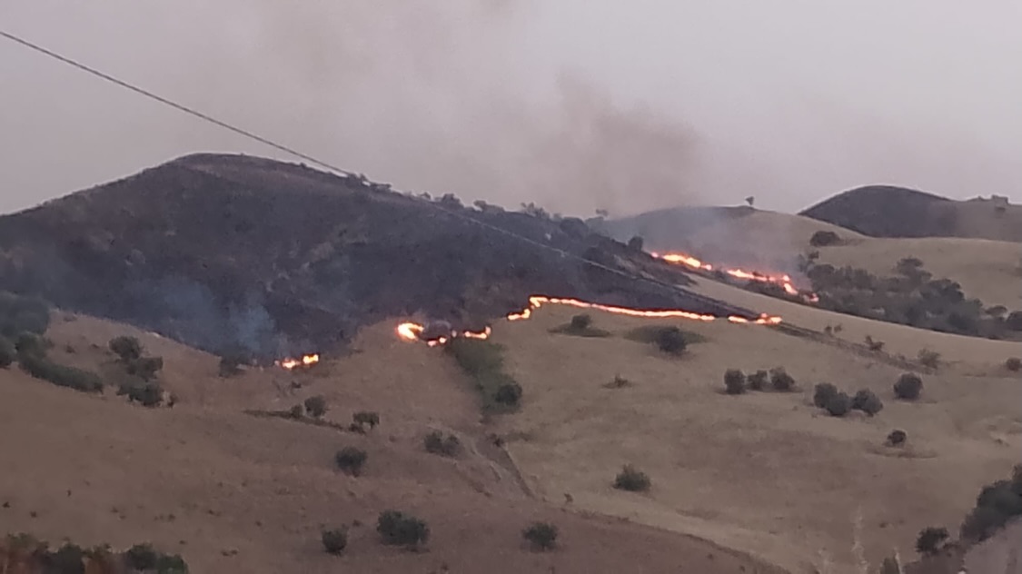 Incendi, pesante bilancio in Sicilia: famiglie senza luce e acqua, intere zone evacuate Incendi, pesante bilancio in Sicilia: famiglie senza luce e acqua, intere zone evacuate