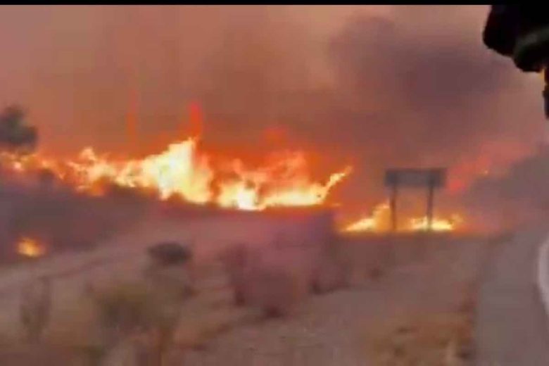 VIDEO – Violento incendio in un bosco in Spagna: almeno 11 morti