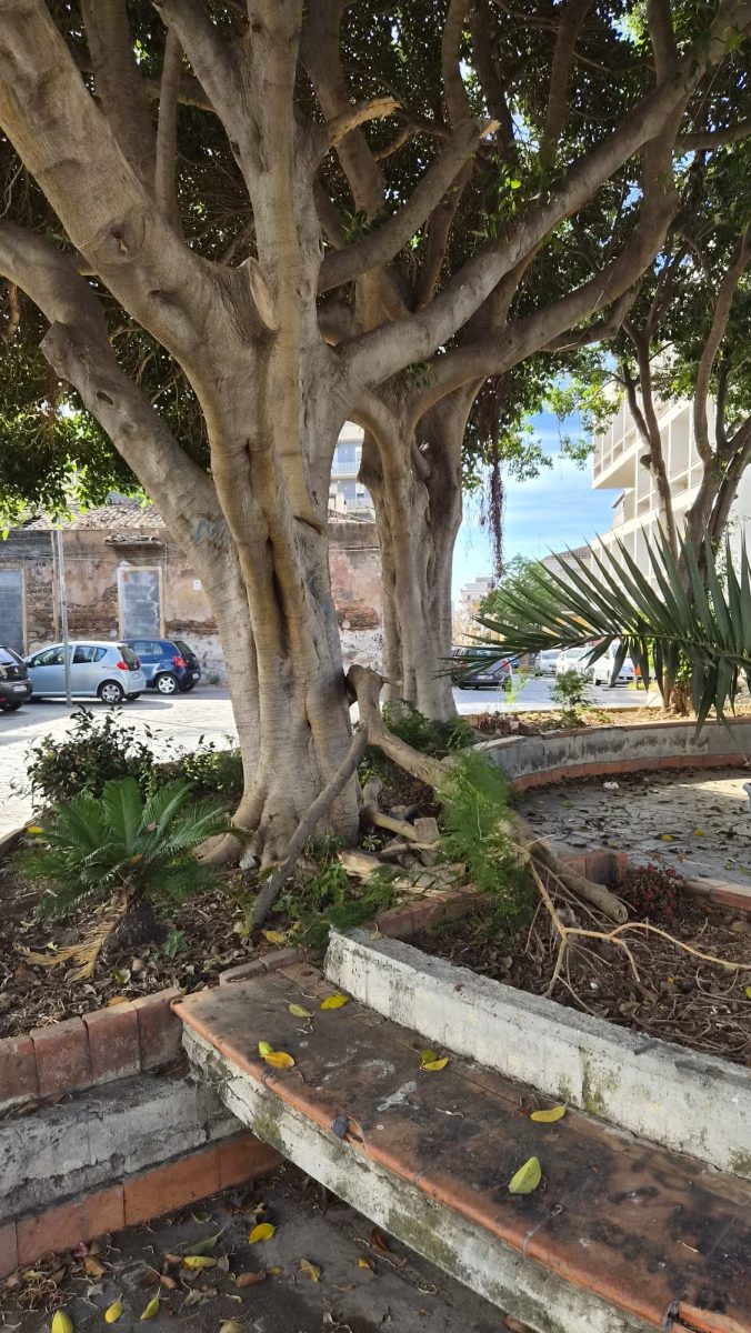 Degrado Piazza Pergolesi a Picanello, Carnazza: “Grave e intollerabile stato di abbandono e illegalità” Degrado Piazza Pergolesi a Picanello, Carnazza: “Grave e intollerabile stato di abbandono e illegalità”
