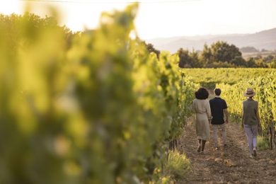 Enoturismo, DNA Tasting: estate a due velocità e domanda più selettiva