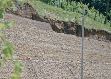 Sensori nei vigneti contro micro-frane nel Conegliano Valdobbiadene