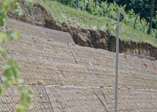 Sensori nei vigneti contro micro-frane nel Conegliano Valdobbiadene