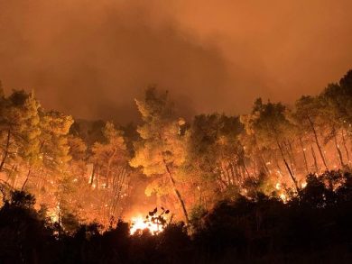 Wwf, nel 2026 incendi in Italia +133% rispetto a ultimi 20 anni