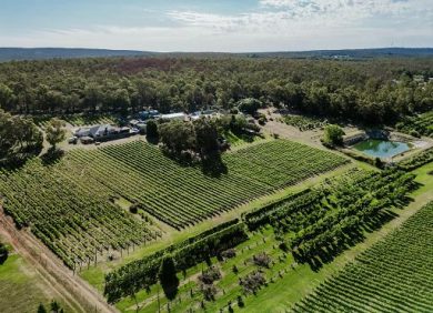 Vino, “World’s 50 Best Vineyards 2026” debutta a Santiago in Cile