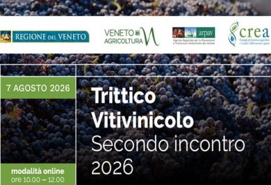 Trittico Vitivinicolo: vendemmia in anticipo tra qualità e siccità