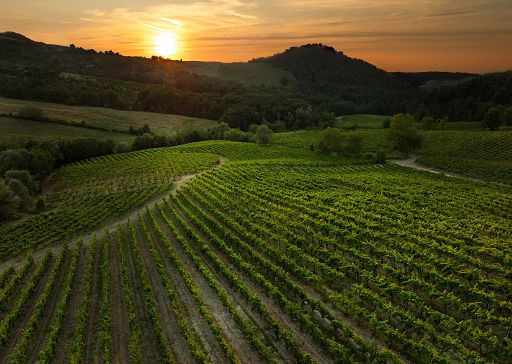 ”OltreGusto Oltrepo Terra di Pinot Nero” debutta a Voghera