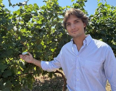Sostenibilità, Villa Sandi: sensori e IA in oltre 200 ettari vitati