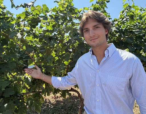 Sostenibilità, Villa Sandi: sensori e IA in oltre 200 ettari vitati