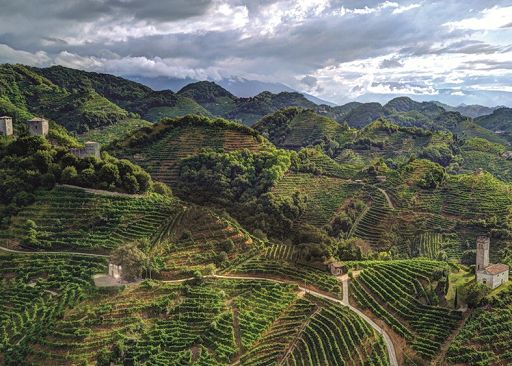 Follador wine sponsor della mostra di Heinz Schattner a Napoli