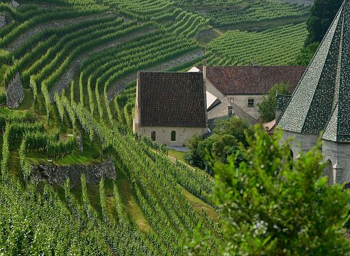Abbazia di Novacella: un secolo di Sylvaner in Valle Isarco