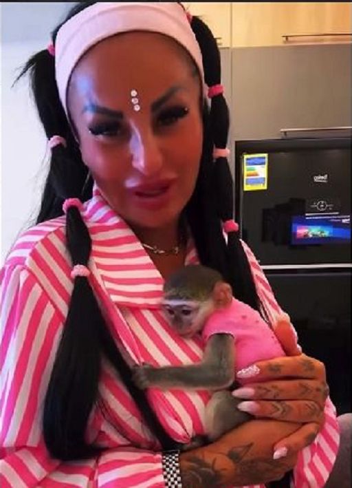 Influencer compra scimmietta a Sharm el-Sheikh: “Rischio emulazione”