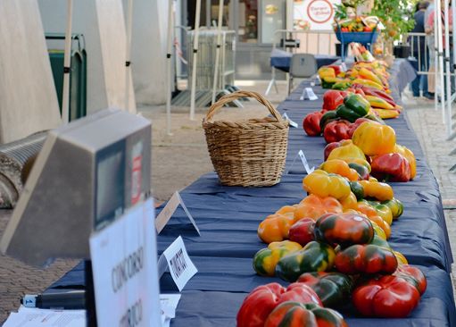 Dal 28 agosto la “Fiera Nazionale del Peperone di Carmagnola”