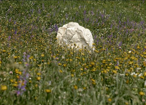 Arte, cucina e musica nella Val dl’Ert con il progetto “Stlopun”