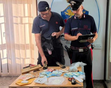 Monreale, la cocaina murata in casa trovata grazie al fiuto di Dea: un arresto