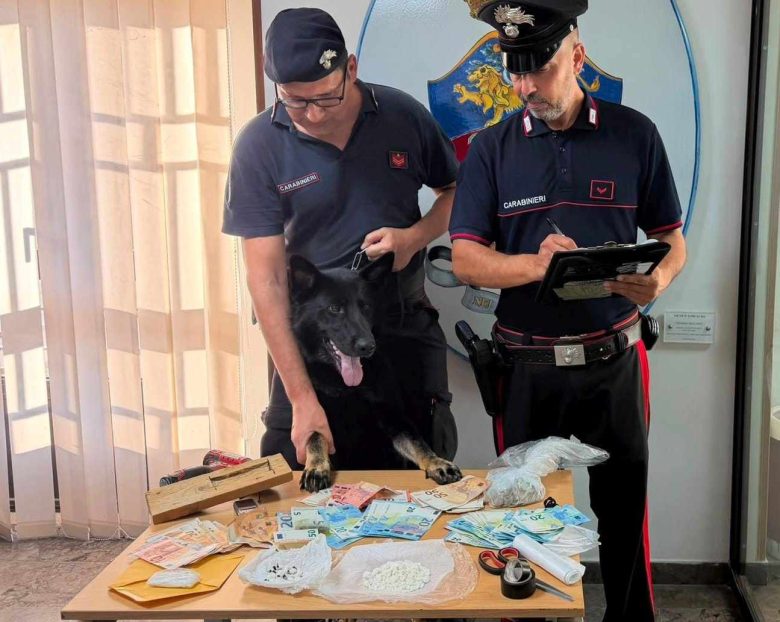 Monreale, la cocaina murata in casa trovata grazie al fiuto di Dea: un arresto