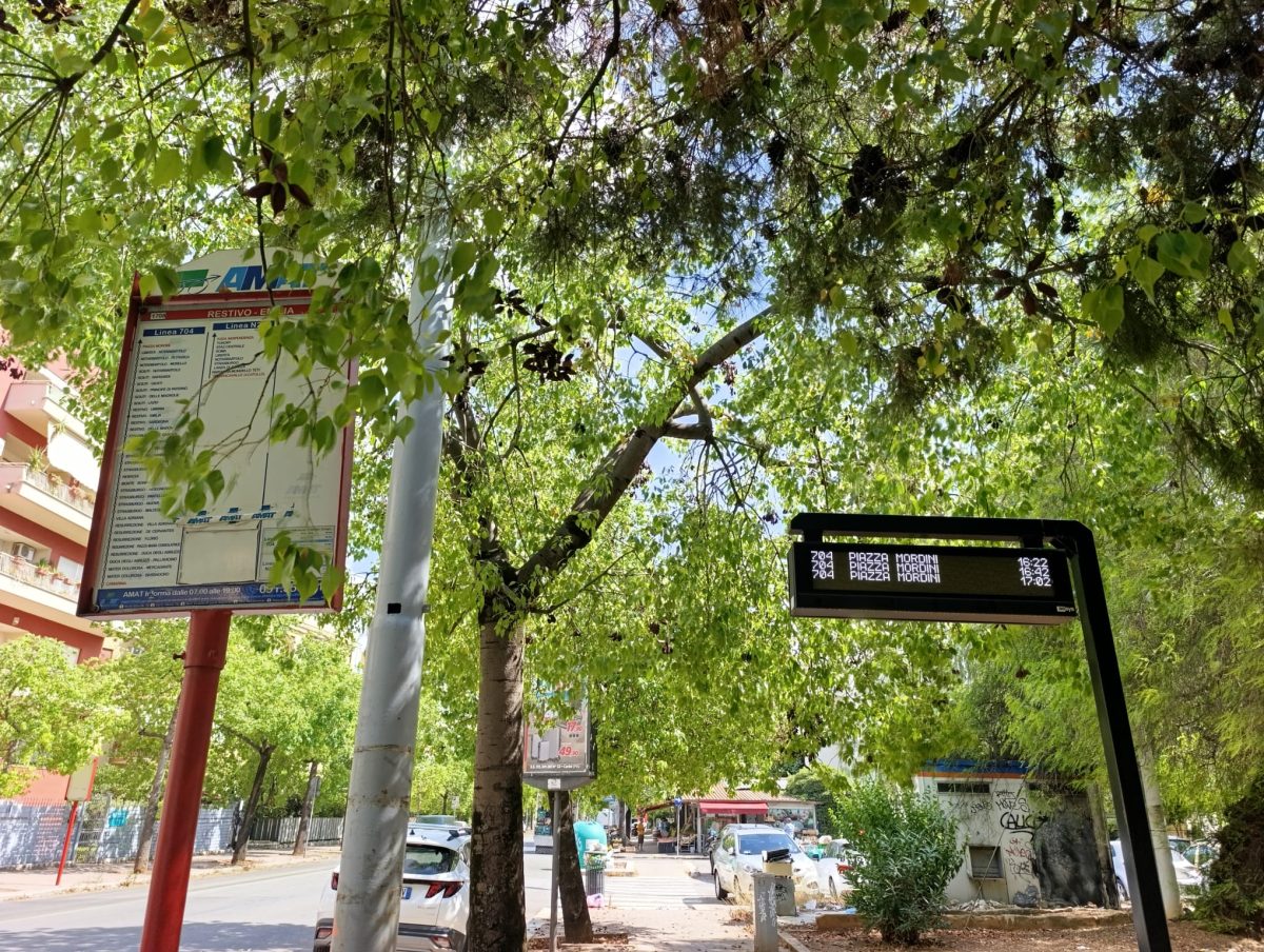 Quando passa l’autobus? A Palermo è ancora un’incognita: il caso delle paline elettroniche Quando passa l’autobus? A Palermo è ancora un’incognita: il caso delle paline elettroniche
