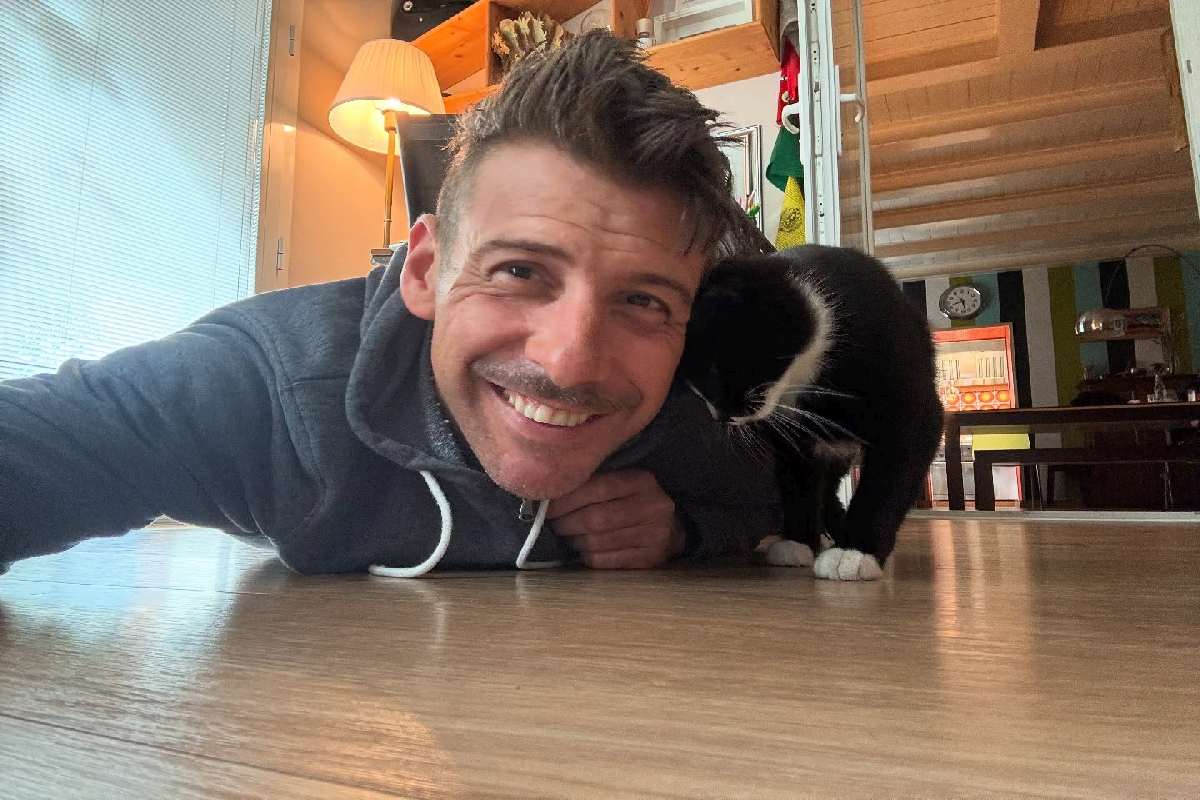 Malore durante concerto a Letojanni, Francesco Gabbani ferma lo show