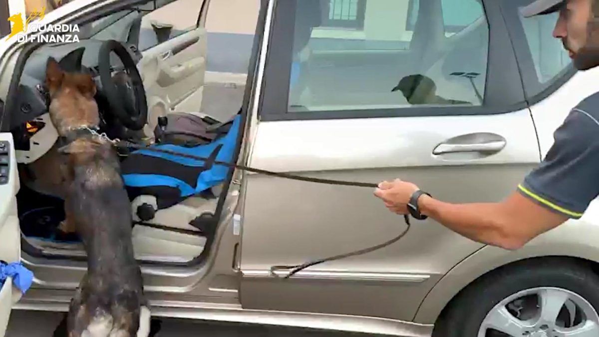 VIDEO | Due kg di cocaina nascosti nel cruscotto: fermato 68enne al casello di San Gregorio