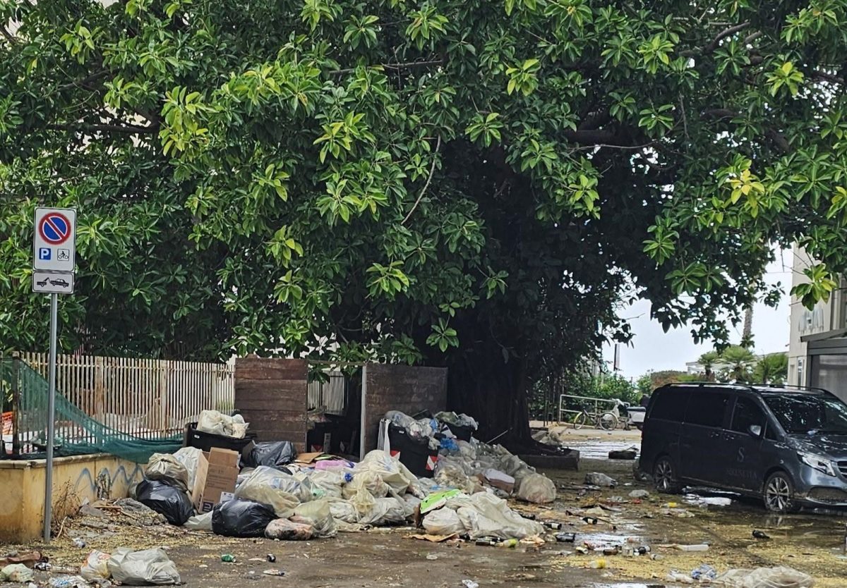 FOTO | “C’è da impazzire”, da Mondello al centro storico: cittadini esasperati per una Palermo invasa dai rifiuti FOTO | “C’è da impazzire”, da Mondello al centro storico: cittadini esasperati per una Palermo invasa dai rifiuti