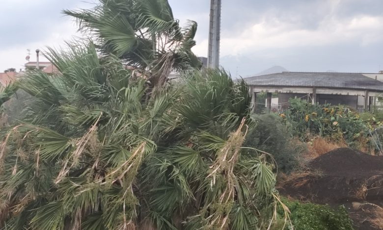 VIDEO | Non solo Etna, Ferragosto sotto la pioggia nel Catanese: temporali e allerta meteo