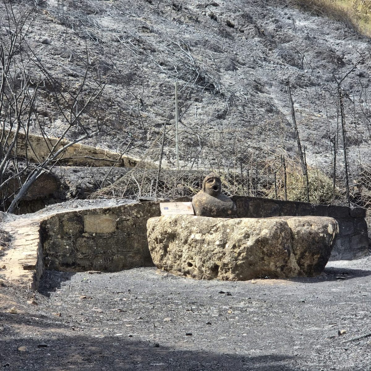 Gente in fuga e sindaco ferito durante i soccorsi, il dramma dell’incendio a Polizzi Generosa: “Non si capiva più niente”