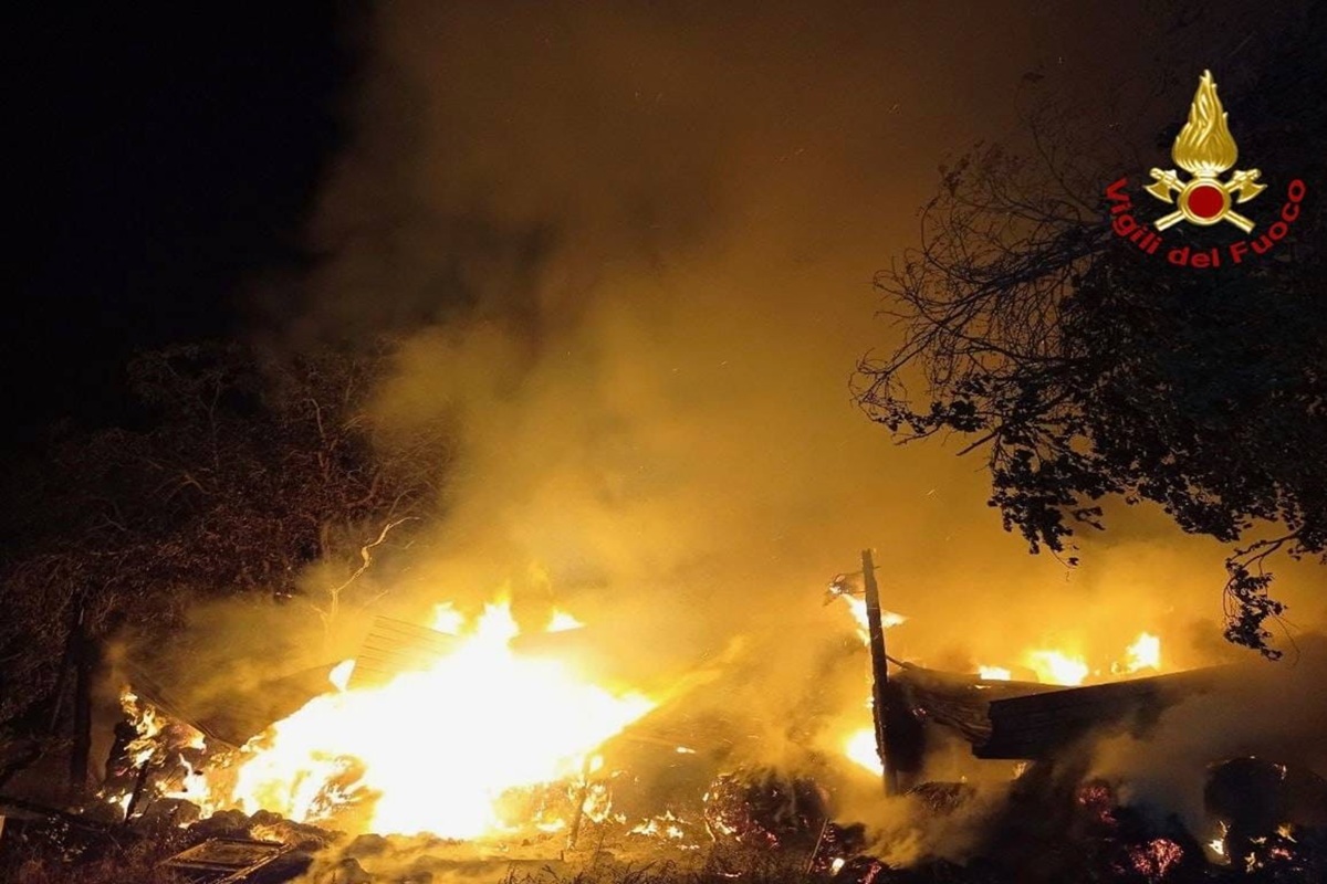 FOTO | Fiamme nel fienile, vigili del fuoco in azione nella notte: le immagini dal Catanese FOTO | Fiamme nel fienile, vigili del fuoco in azione nella notte: le immagini dal Catanese