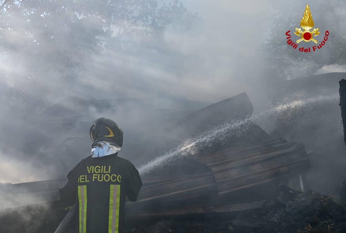 FOTO | Fiamme nel fienile, vigili del fuoco in azione nella notte: le immagini dal Catanese FOTO | Fiamme nel fienile, vigili del fuoco in azione nella notte: le immagini dal Catanese