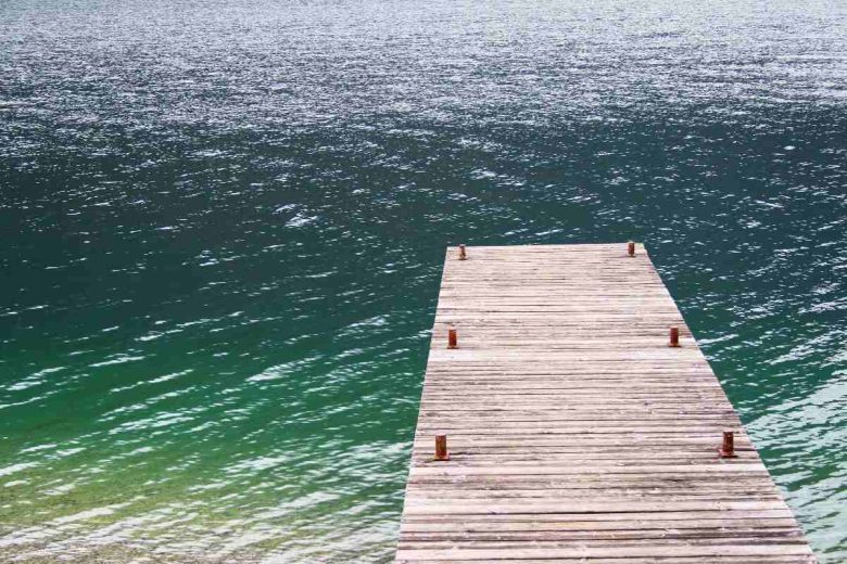 Ameba mangia cervello, morta bimba di 8 anni dopo un bagno al lago
