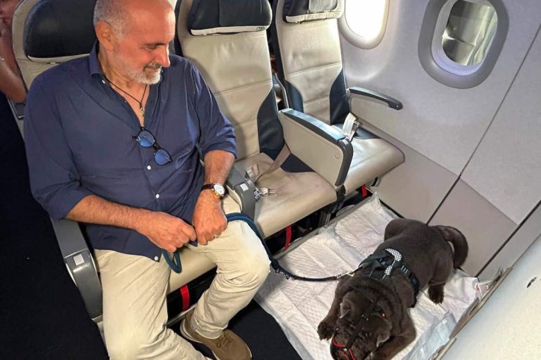 A Palermo il primo volo nazionale con un cane di grossa taglia: Geppino, uno Sharpei di 13 anni, il protagonista indiscusso